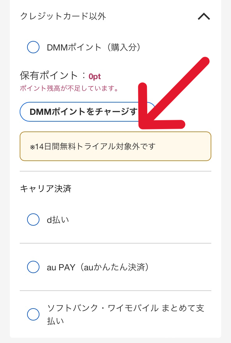 DMMポイントでの支払い