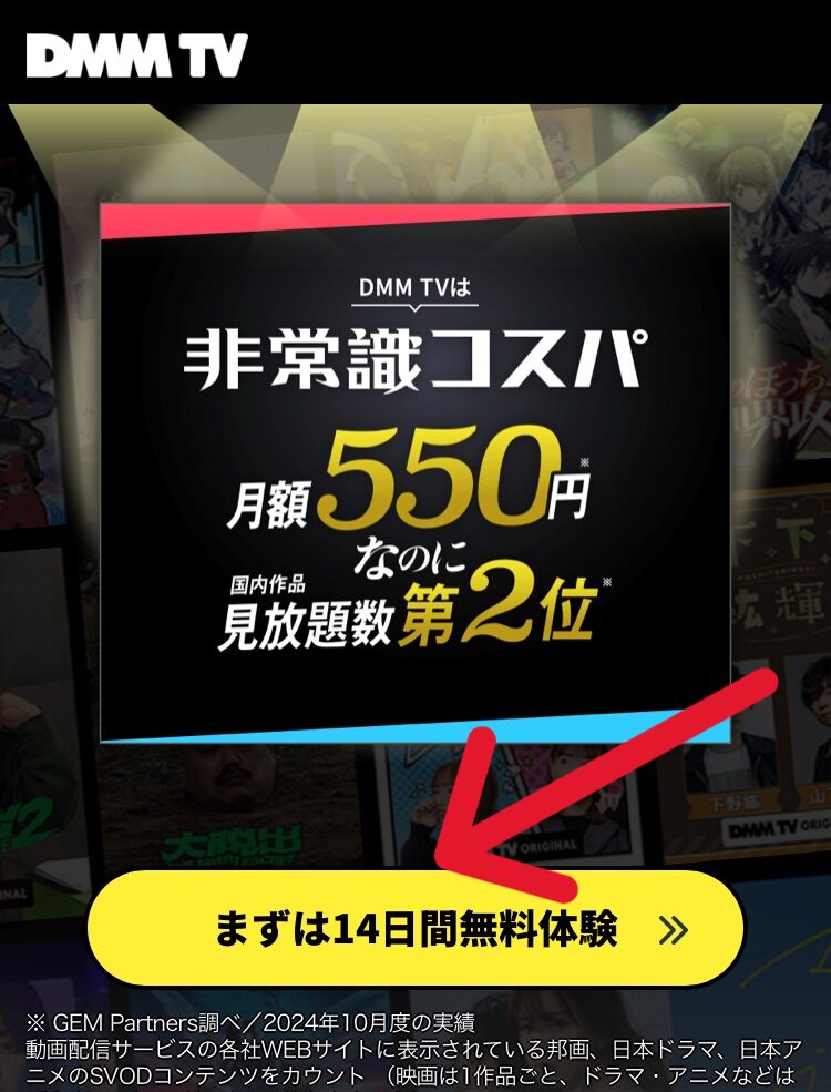 DMM TV